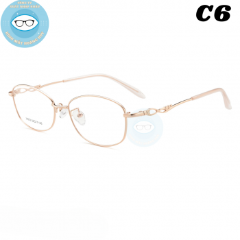 Gọng kim loại công sở mã 34603